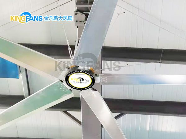 金凡斯爆款：5米工業大風扇介紹